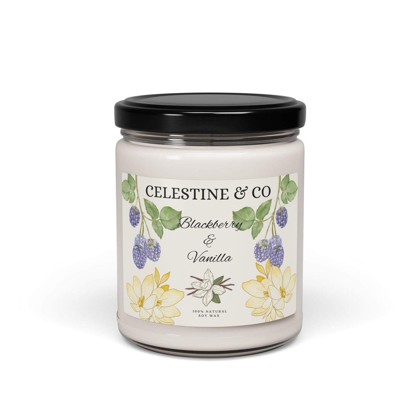 Blackberry and Vanilla scented Candle, 9oz